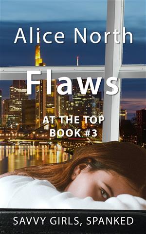 Flaws book cover