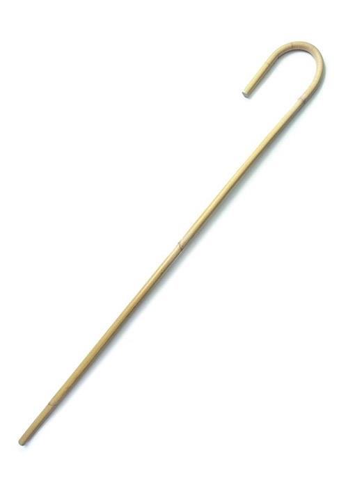 Cane