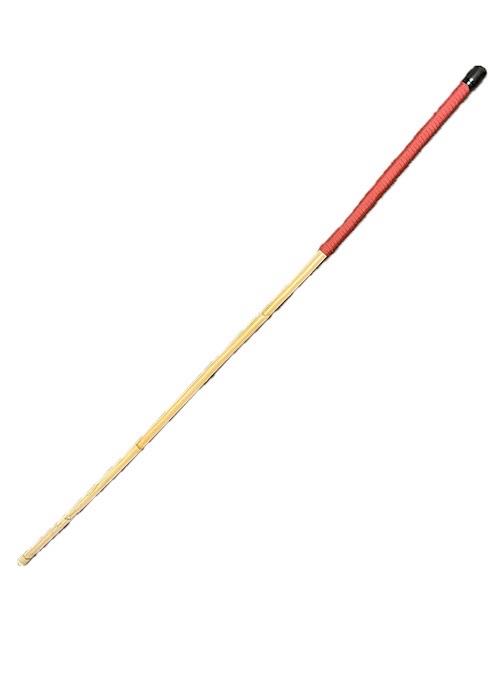 Senior Cane